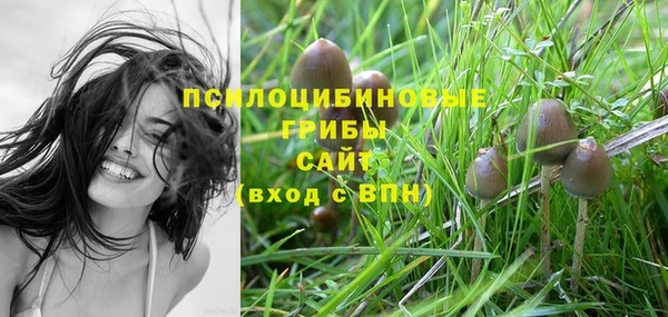 кокаин перу Богданович