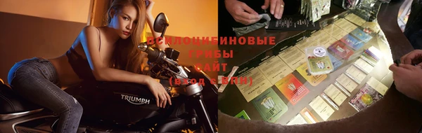 кокаин перу Богданович