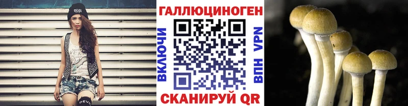 Псилоцибиновые грибы Psilocybe  Вязники 